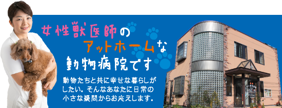 女性獣医師のアットホームな動物病院です。動物たちと共に幸せな暮らしがしたい。そんなあななに日常の小さな疑問からお応えします。