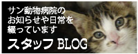 スタッフblog